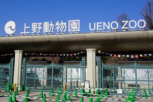 uenozoo300